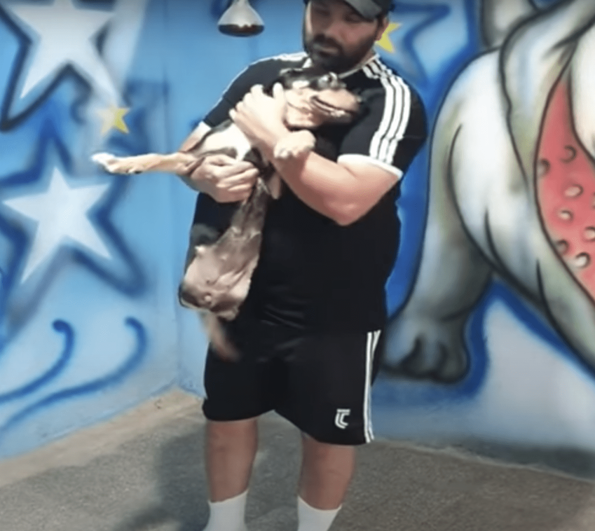 Kоrb еnthаltеnеr Hund mit „hаlbеm Körреr“, dеn niеmаnd will, nimmt 1 Mаnn ins Visiеr