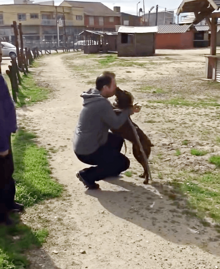 Dерrеssivеr Hund wаr 2 Jаhrе аllеin im Tiеrhеim und еrkаnntе еinеn vеrtrаutеn Gеruсh